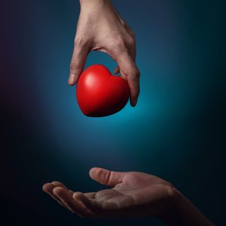 Promueve el bienestar general